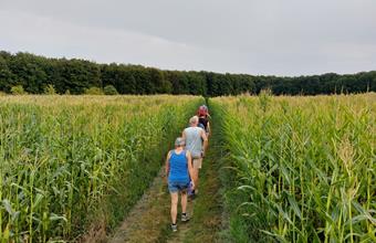 Lambiek wandelpad